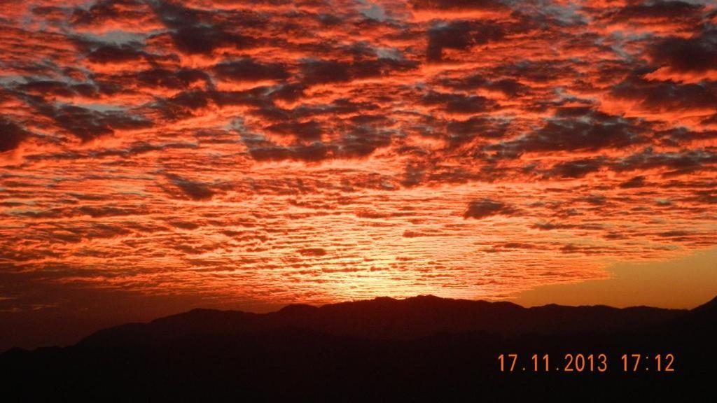The River View Homestay Kurseong エクステリア 写真